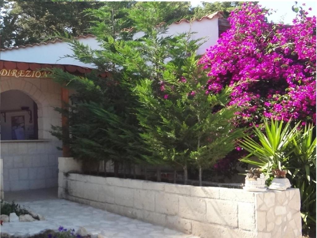 Althea Village Residence Vieste Rum bild